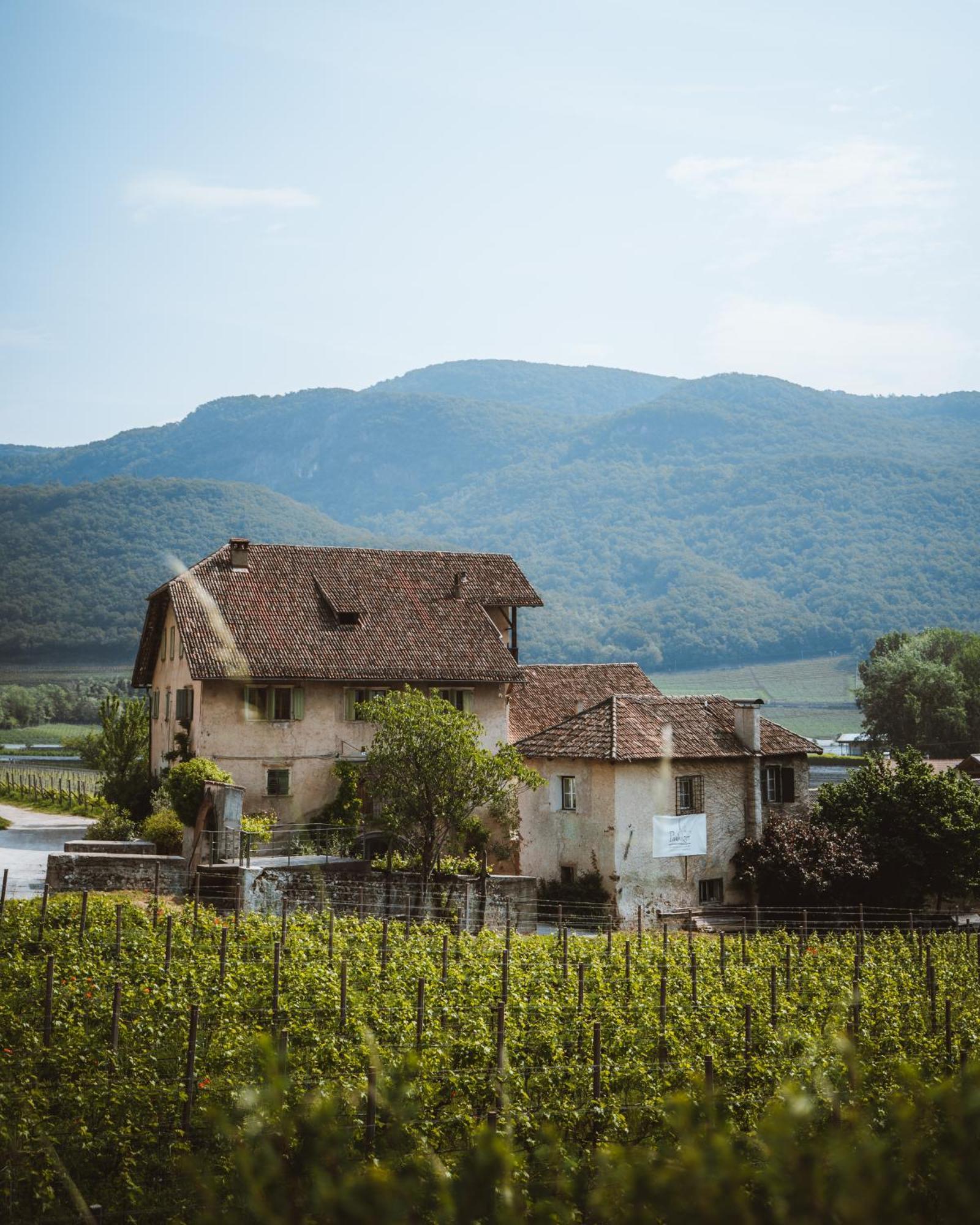 Weinbergsuite Panholzer Caldaro Exterior foto